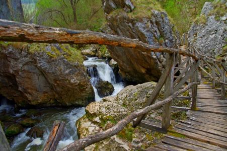 Ждрелото на р. Ерма – Трън-музей на киселото мляко