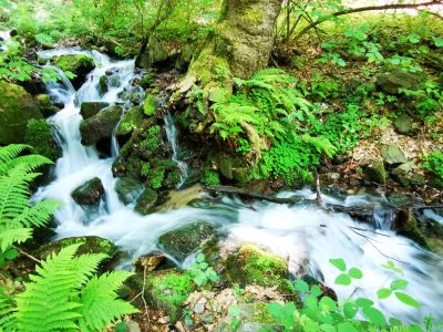 Водопадите в Беласица планина