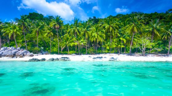 Почивки Бали