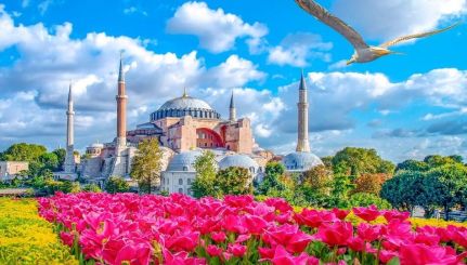 Фестивал на лалетата в Истанбул