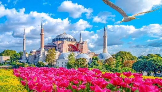 Фестивал на лалетата в Истанбул